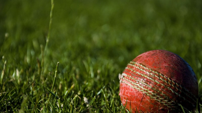 篮球世界杯小组赛，欧洲劲旅对阵美洲球队